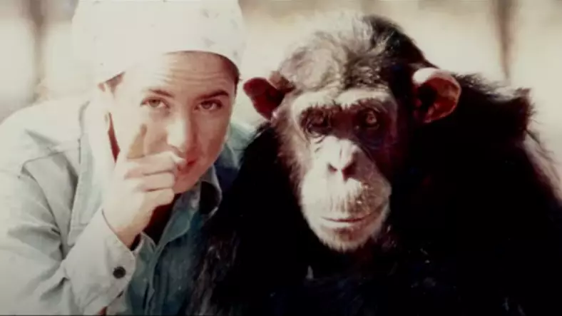 ​Woman Who Raised Chimp As Human On Coffee And Gin Says She Regrets It