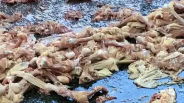 New York Road Covered In Raw Chicken And No One Knows Why