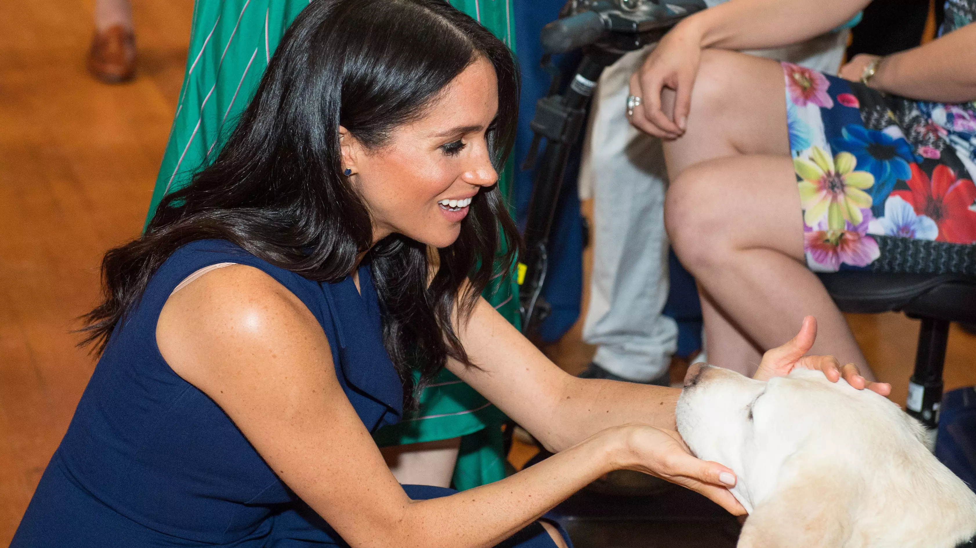 Meghan Markle Reportedly Wants To Adopt A New Rescue Pooch For Archie To Grow Up With 