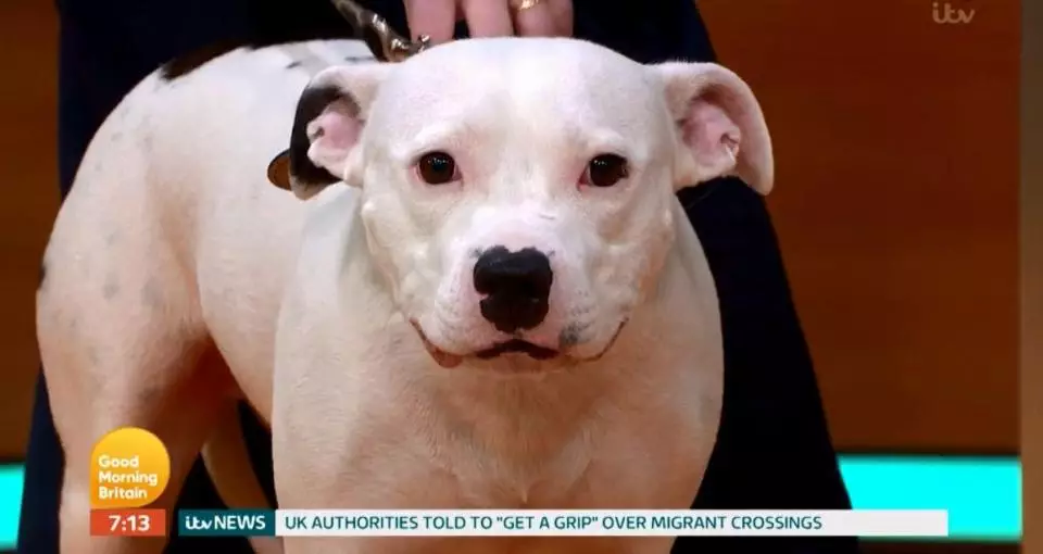 Snoop appeared o Good Morning Britain. (