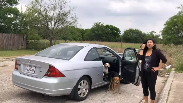 Woman Caught Trying To Dump Her Dogs In Texas 