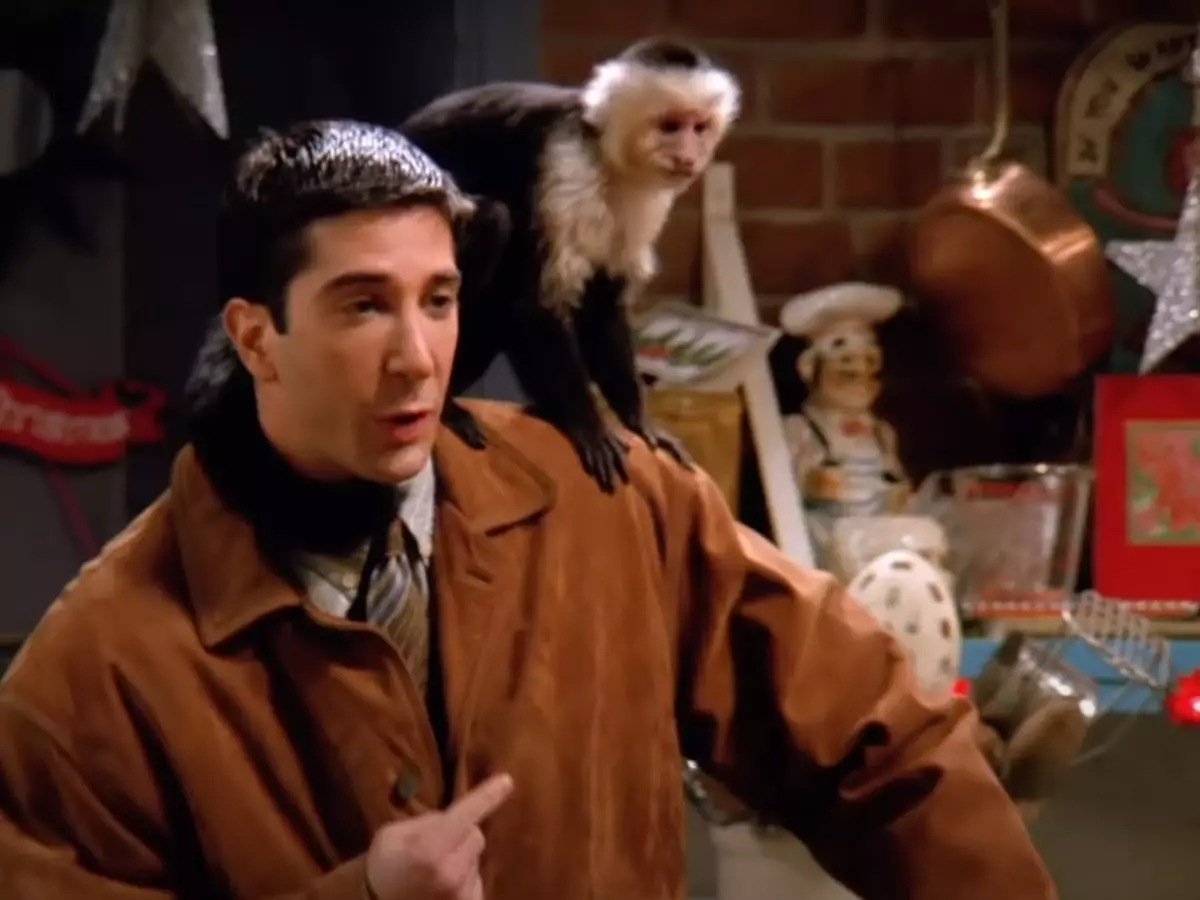 David Schwimmer explained why he found it difficult working with a monkey on set during the reunion (