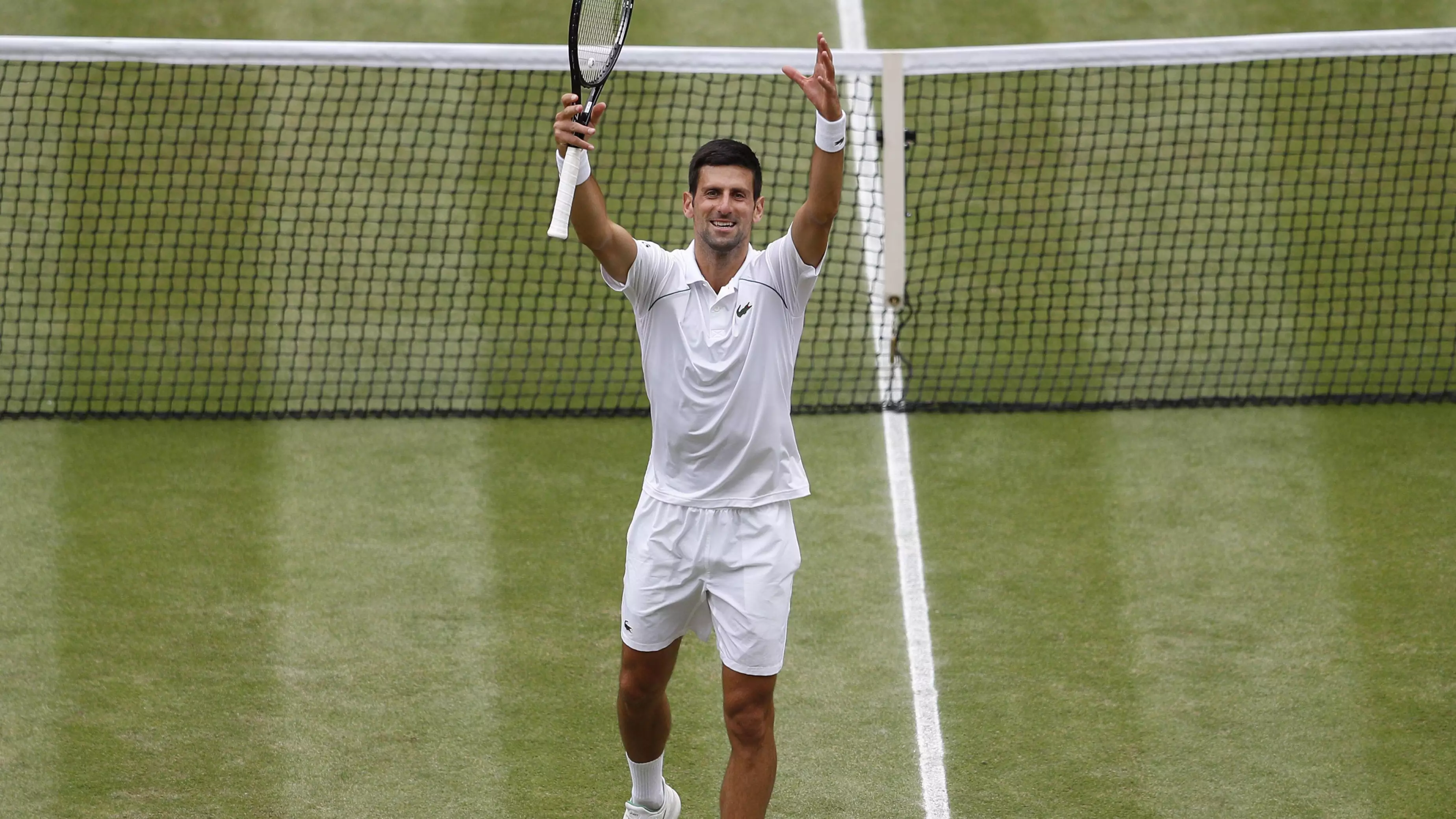 novak