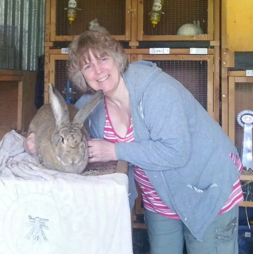 Heartbroken pet owner Donna Pilgrim revealed her rabbit Archie died after being scared of fireworks (