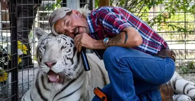An officer thinks big cats are on the brain after Tiger King came out.