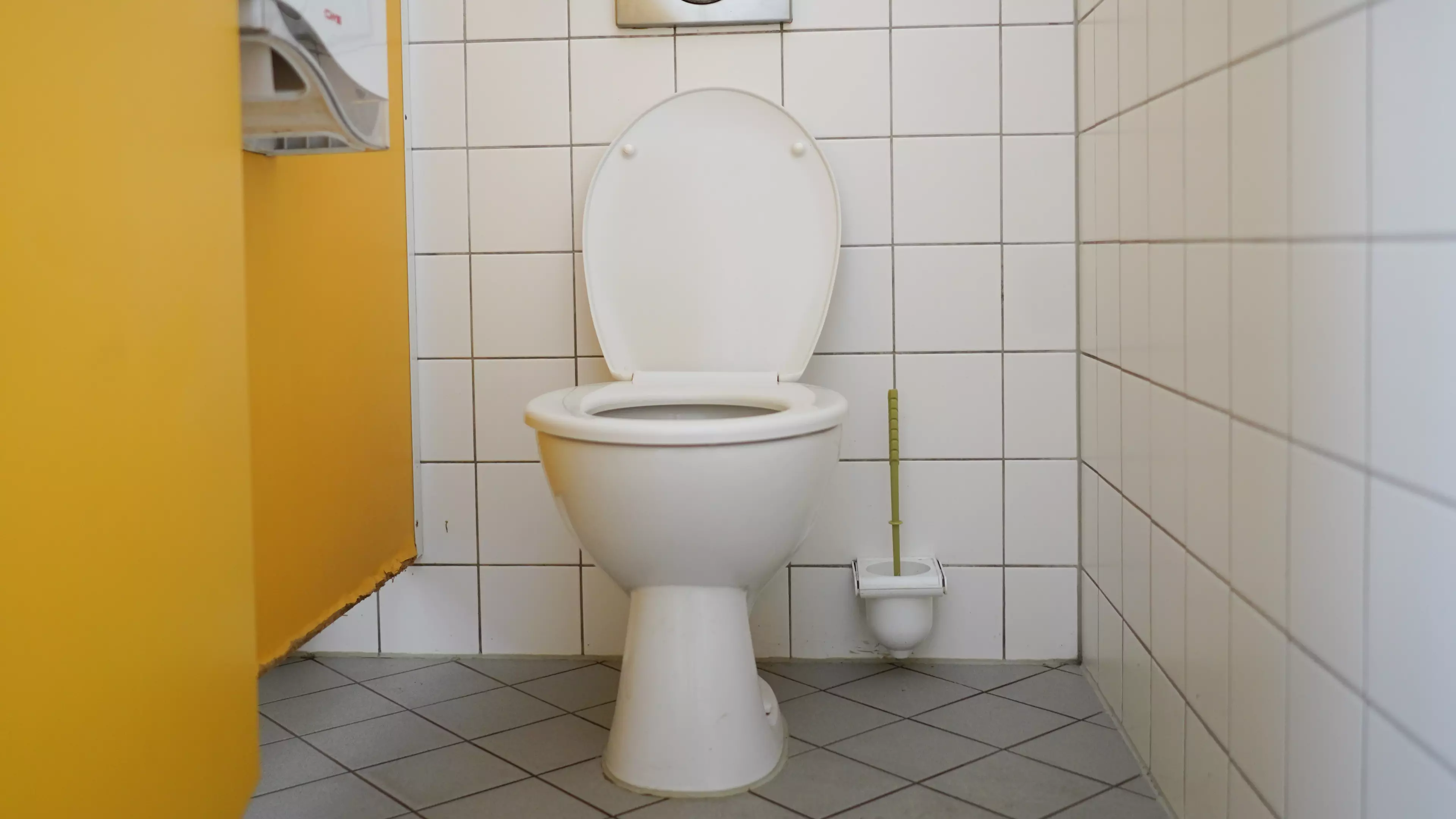 Man Sacked For Pooing In Front Of Colleagues Loses Unfair Dismissal Tribunal 