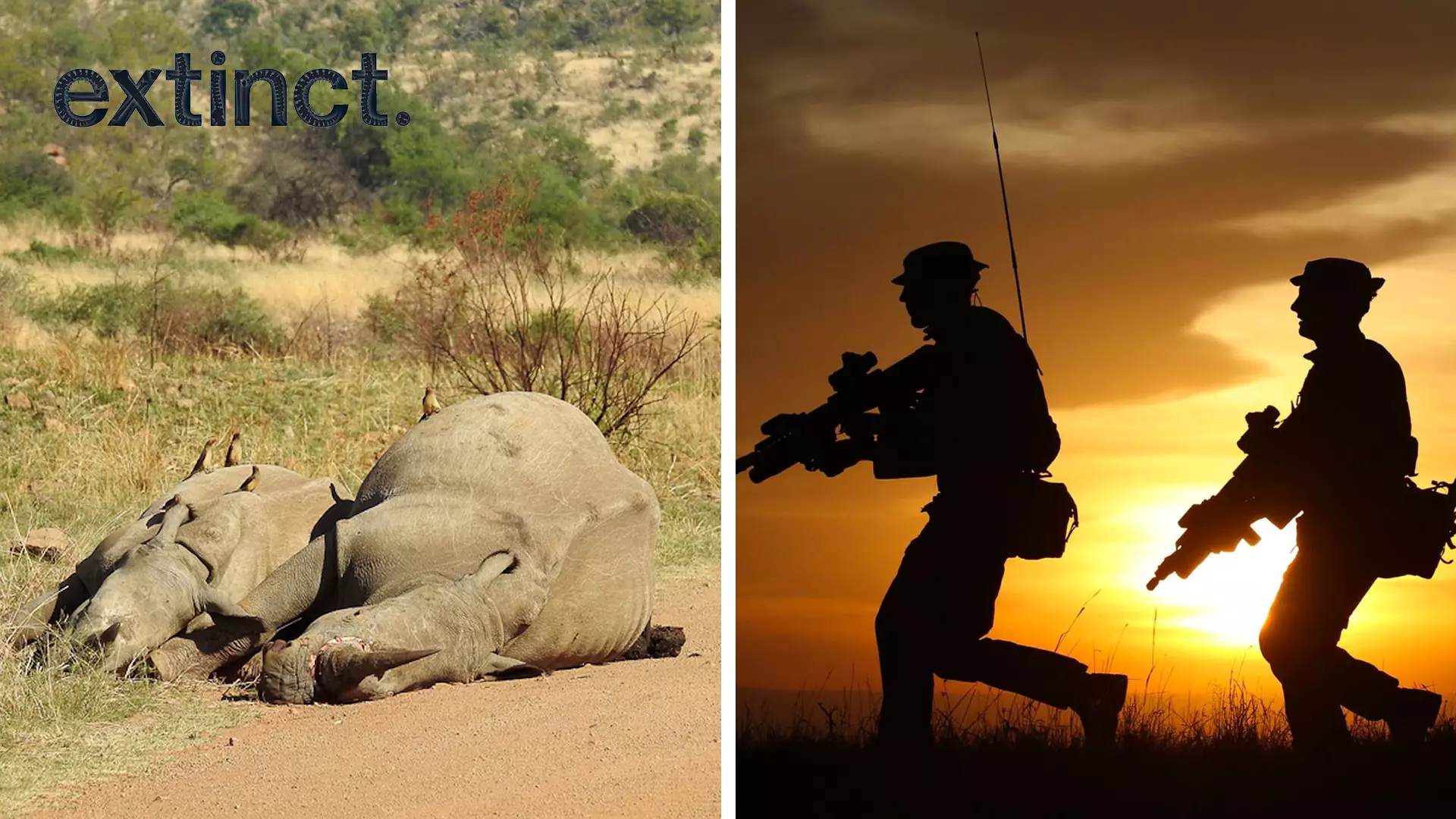 British Troops Will Join The Fight Against Poachers In Africa