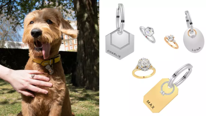 You Can Now Buy A Dog Collar To Match Your Engagement Ring