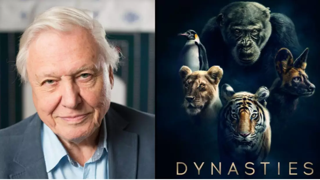 Sir David Attenborough's Next Must-See BBC Documentary To Air In Autumn