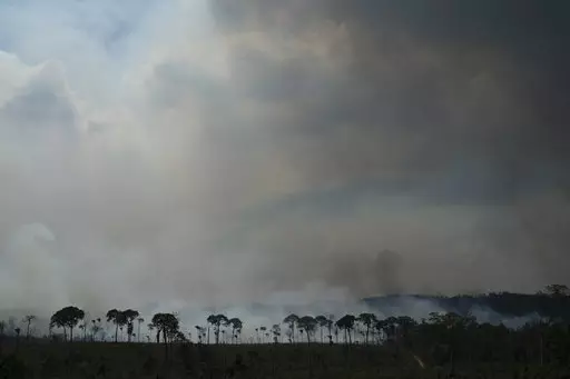 Fire consumes the Amazon rain forest in Altamira, Brazil.