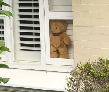Aussie Parents Encouraged To Put Teddy Bears In Their Windows Amid Coronavirus Pandemic
