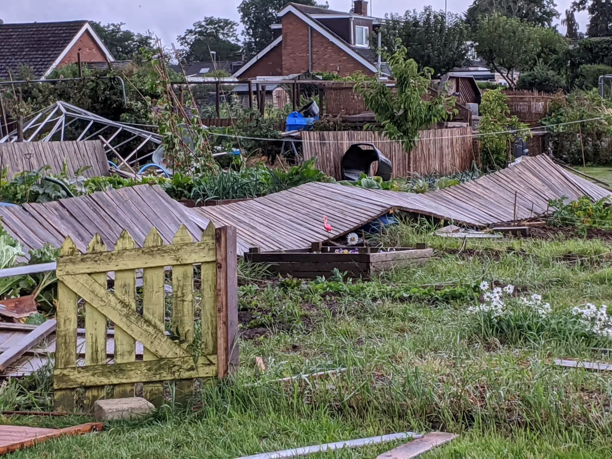 A local allotment was trashed.
