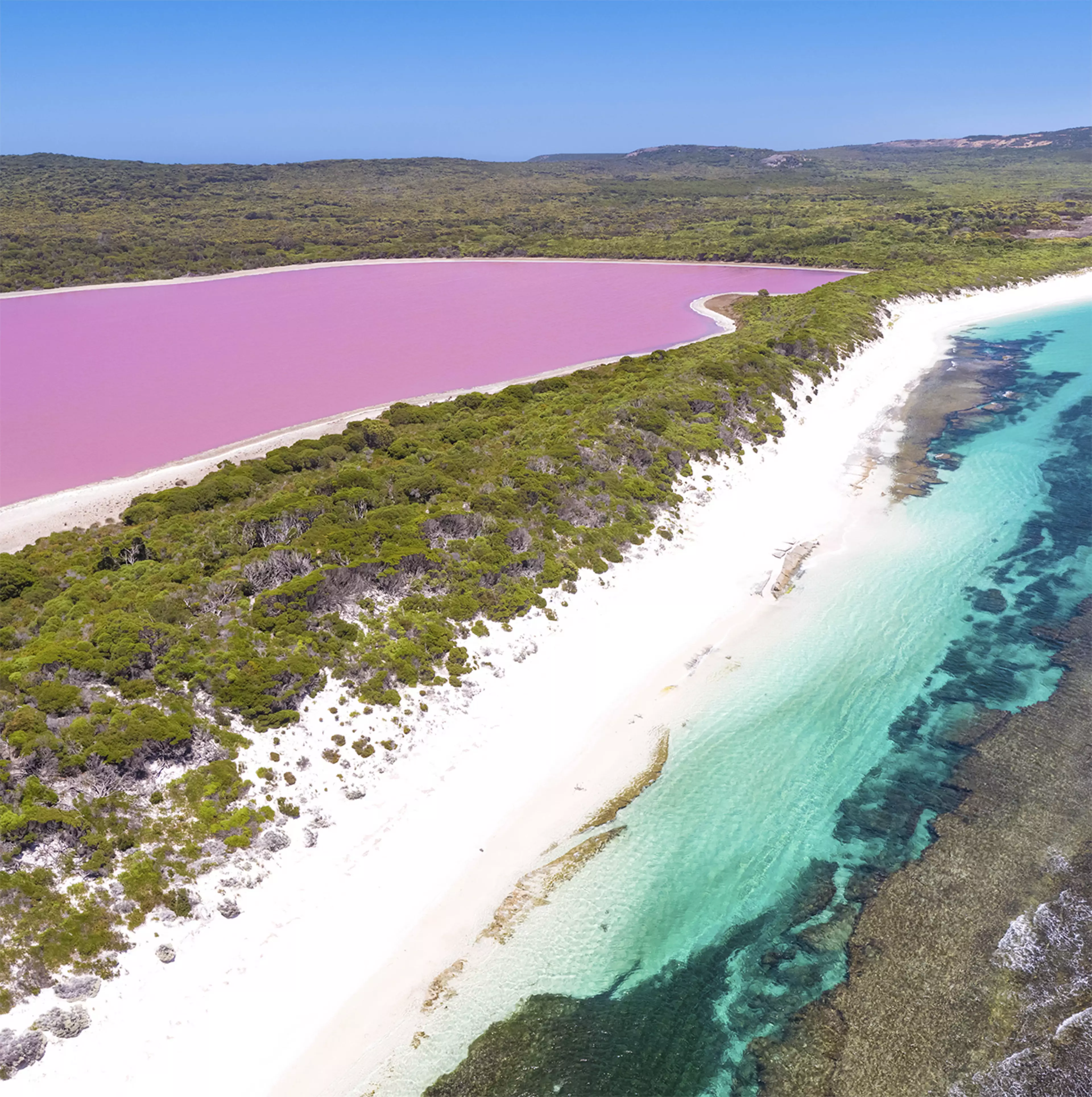 Can we visit Lake Hillier now please? (