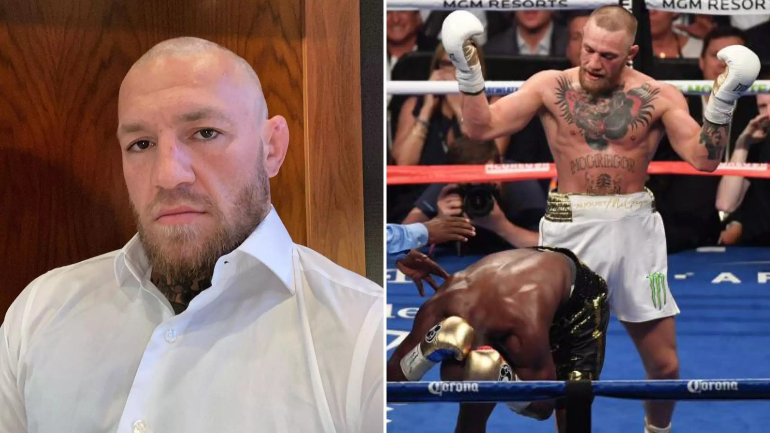 Conor McGregor Had A Savage Response To Floyd Mayweather's Warning For Logan Paul
