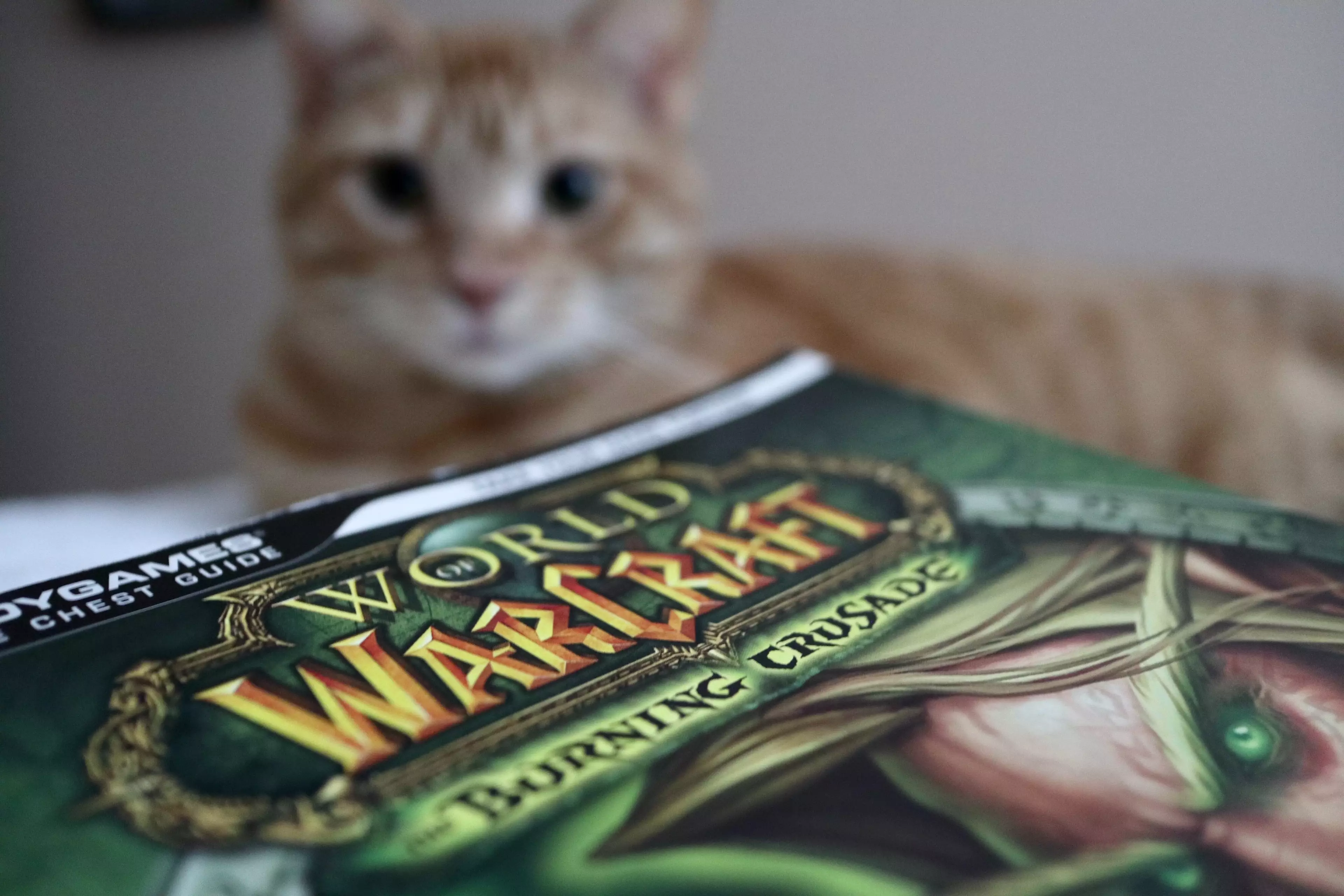 A cat with a 'World of Warcraft' guide book /