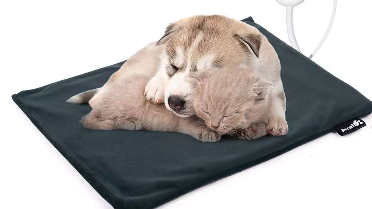 Amazon Is Selling Heated Pet Blankets To Keep Them Snug As A Bug At Christmas