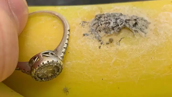 Mum Scared To Return Home After Finding 'Thousands' Of Spiders In Bunch Of Bananas
