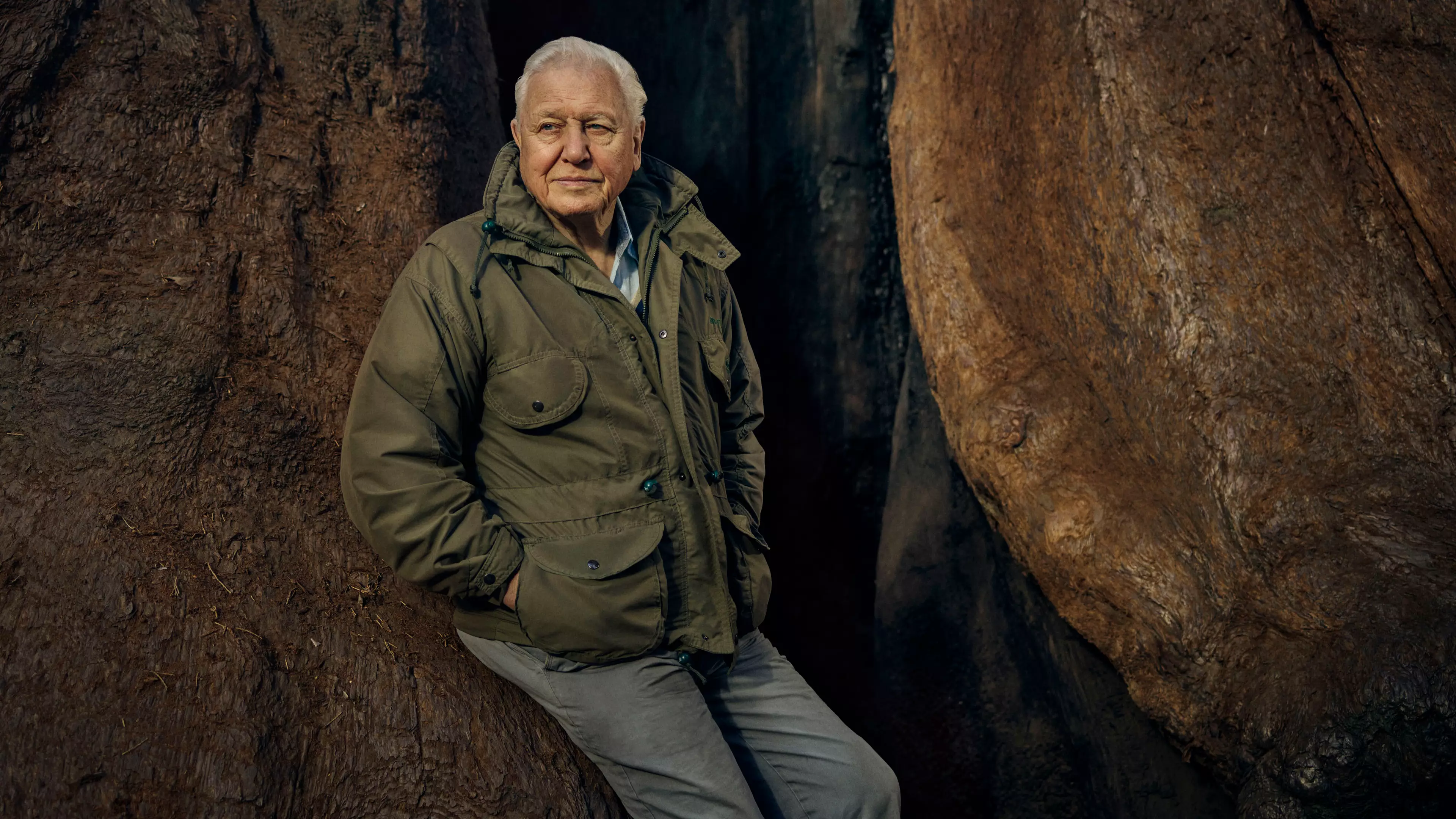 David Attenborough Has A New Nature Series Coming