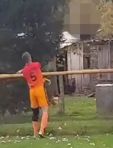 Gazdek tries to throw the chicken over the fence. 