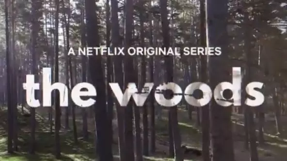The Stranger Creator Confirms New Series The Woods Will Be Released Next Month