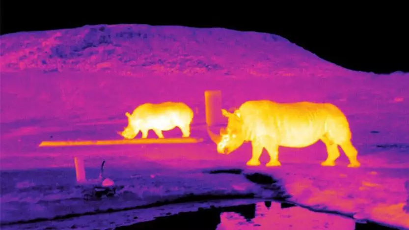Poachers Could Be Stopped Using NASA Night-Vision Drones 