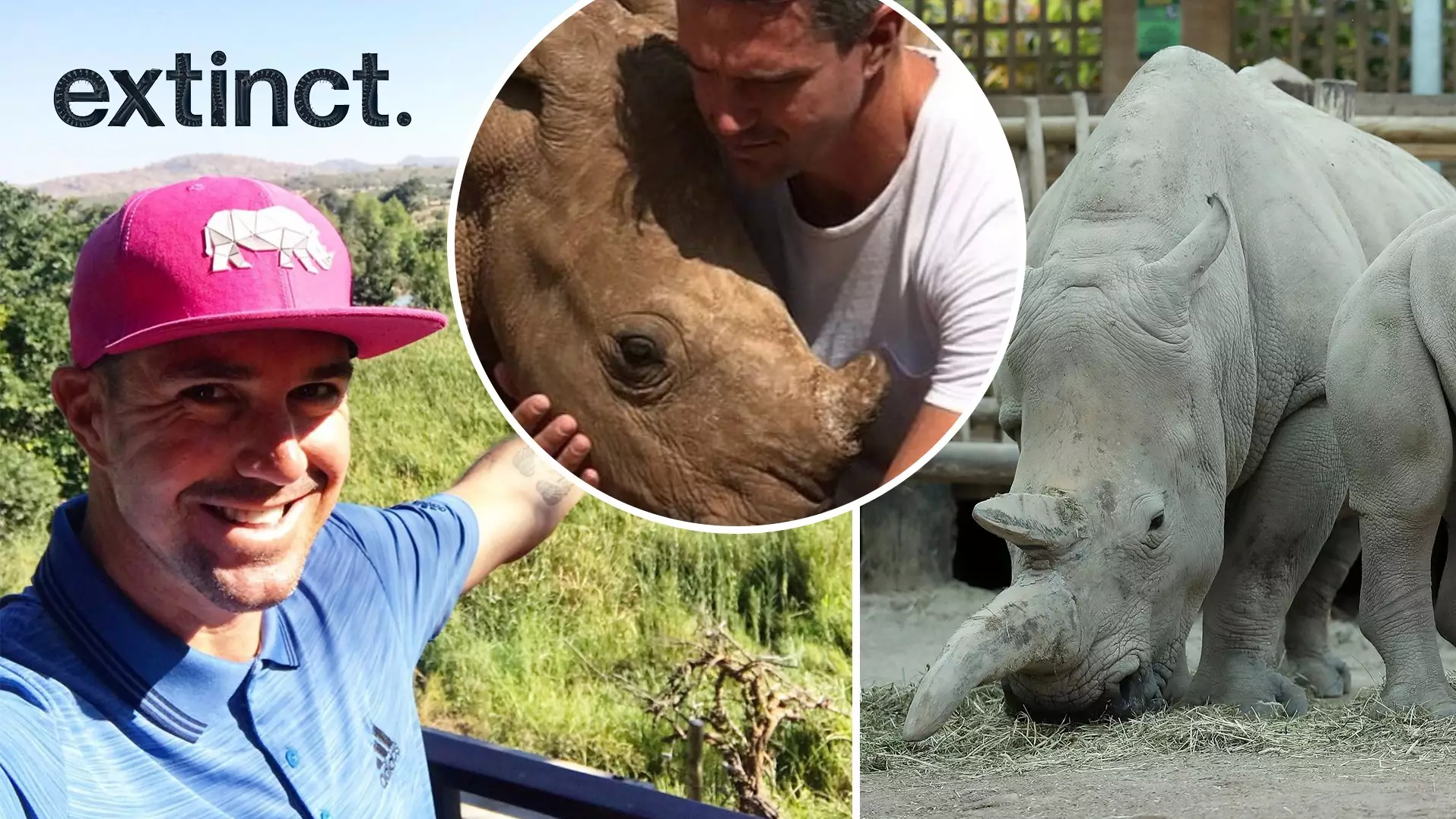 ​Kevin Pietersen: Rhino Extinction Isn’t Going To Happen, Not On My Clock