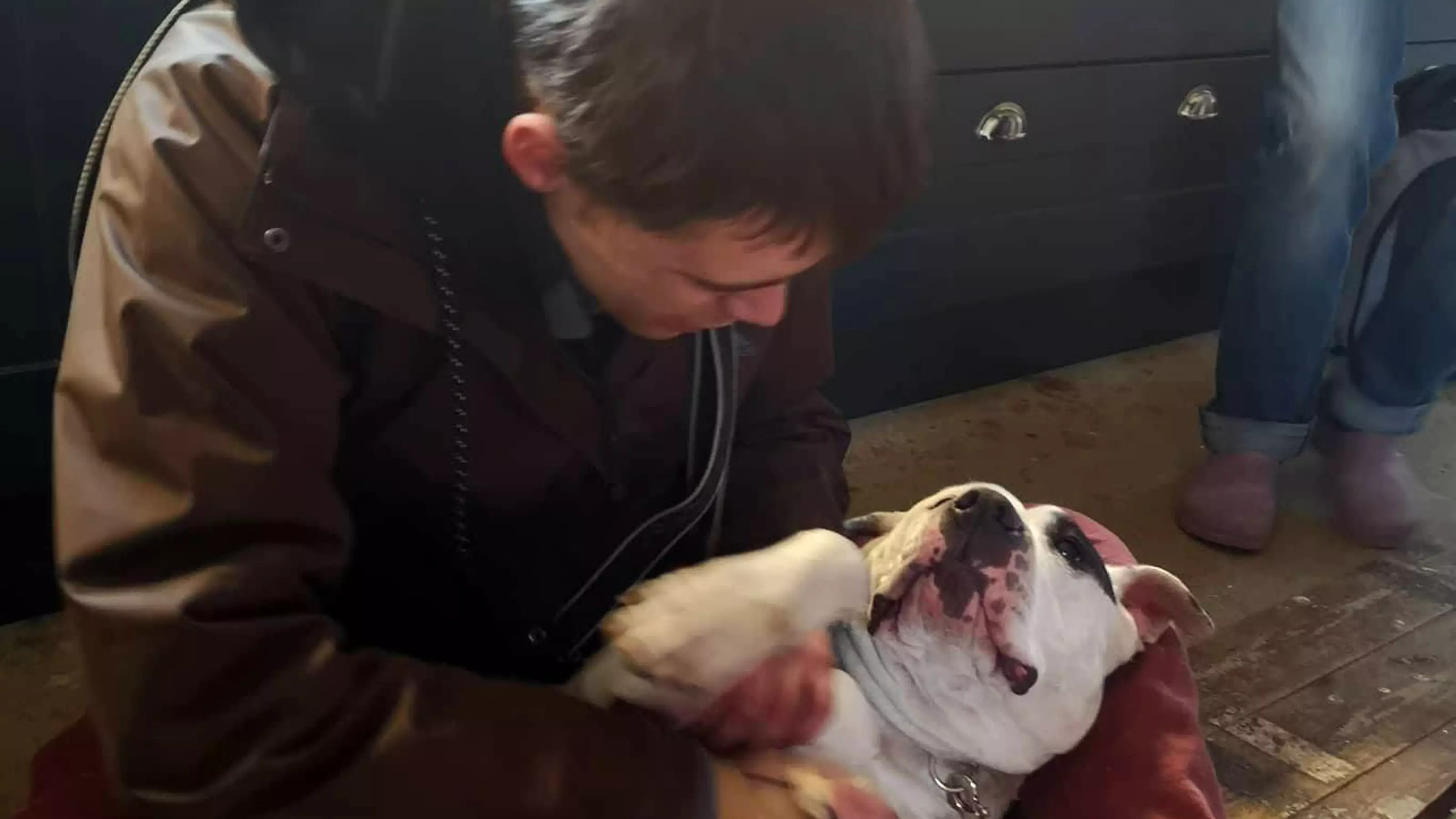 Homeless Man Sobs As He's Reunited With Missing Dog