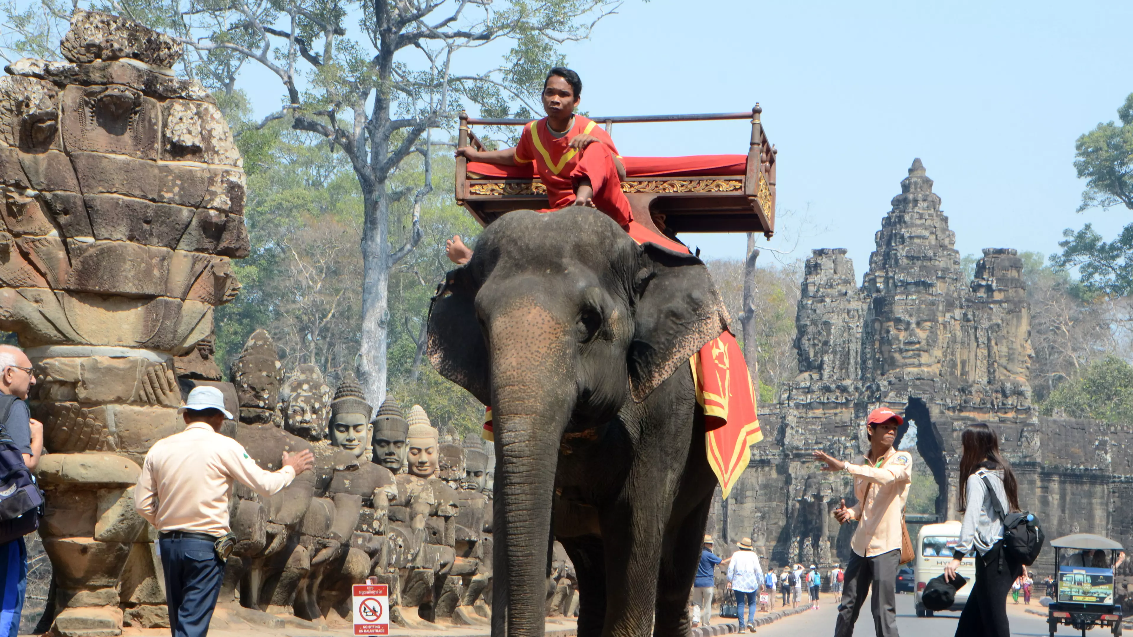 Elephant Rides At Cambodia's Angkor Wat Temple To Be Banned