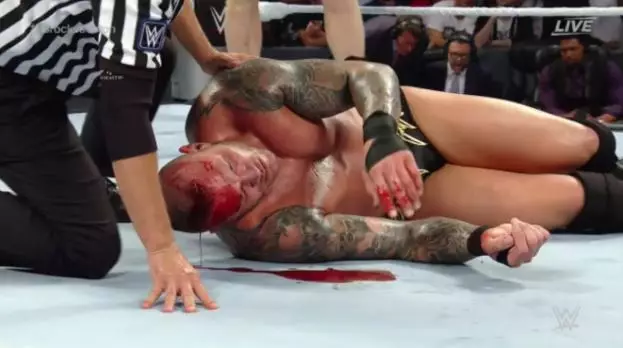 New Details Emerge From Brock Lesnar And Randy Orton Bloodbath
