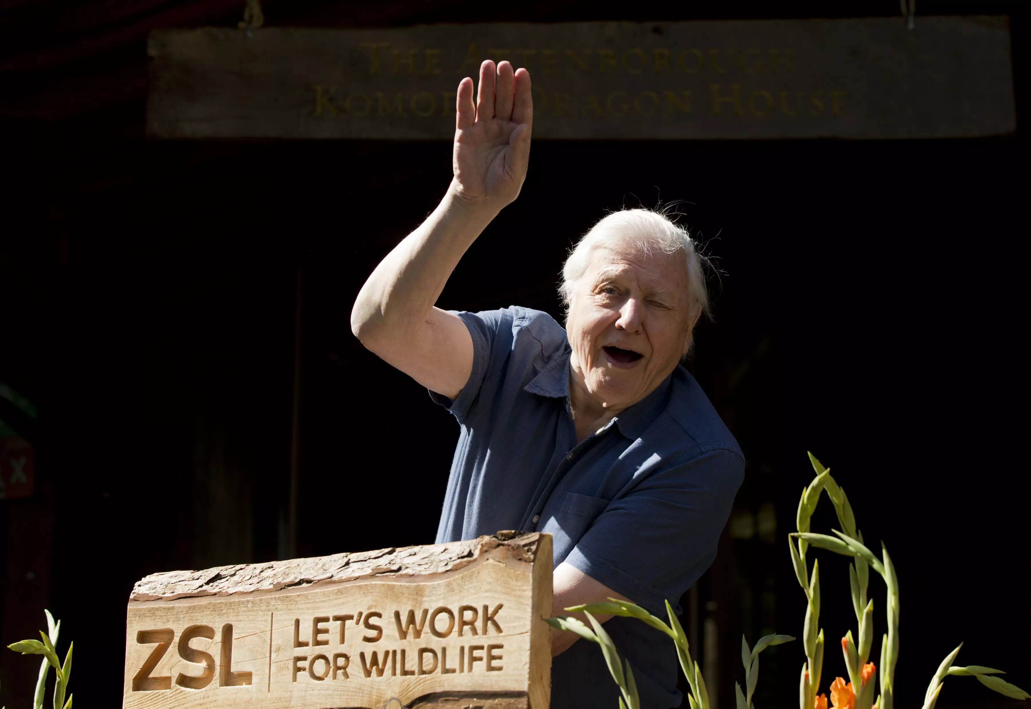 David Attenborough at Komodo enclosure