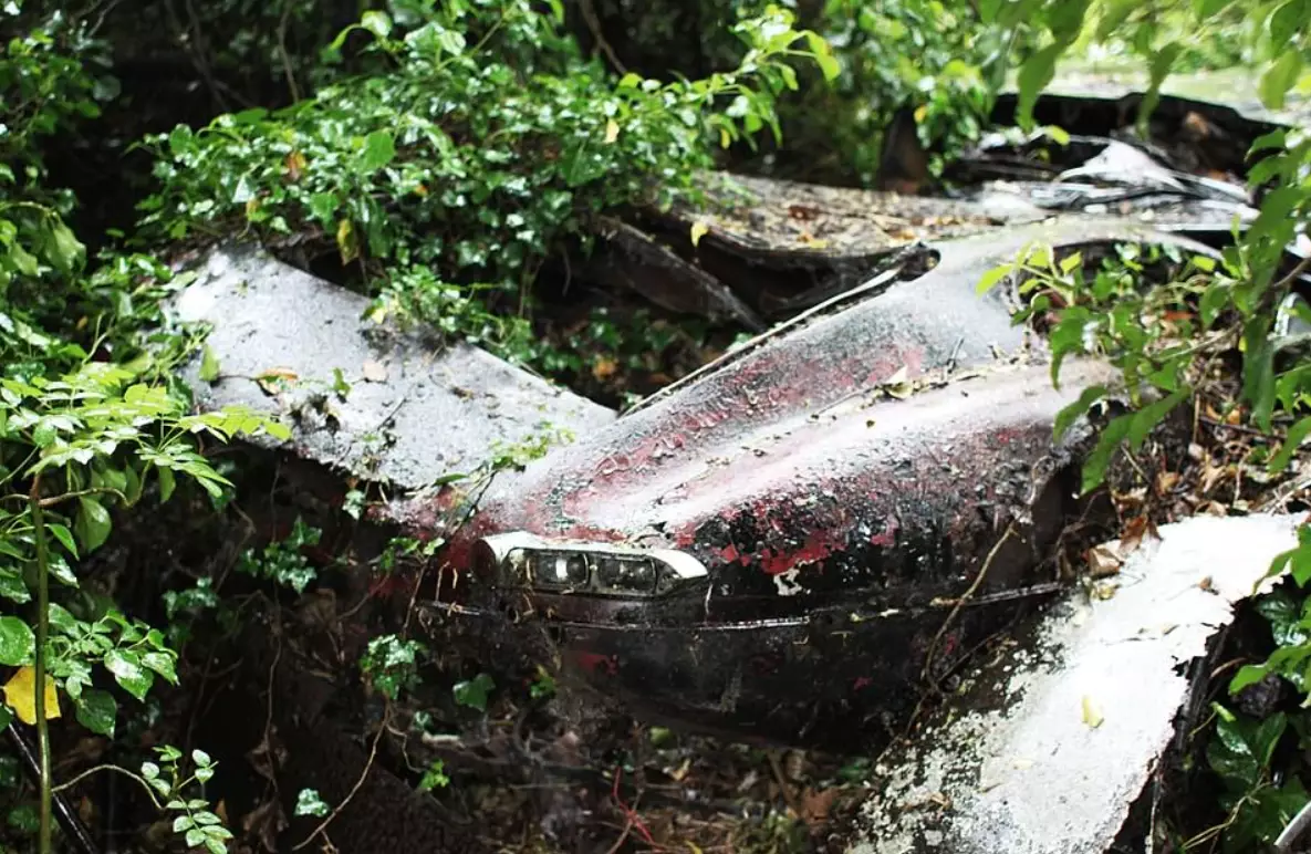 The car had been left to perish for almost 30 years.