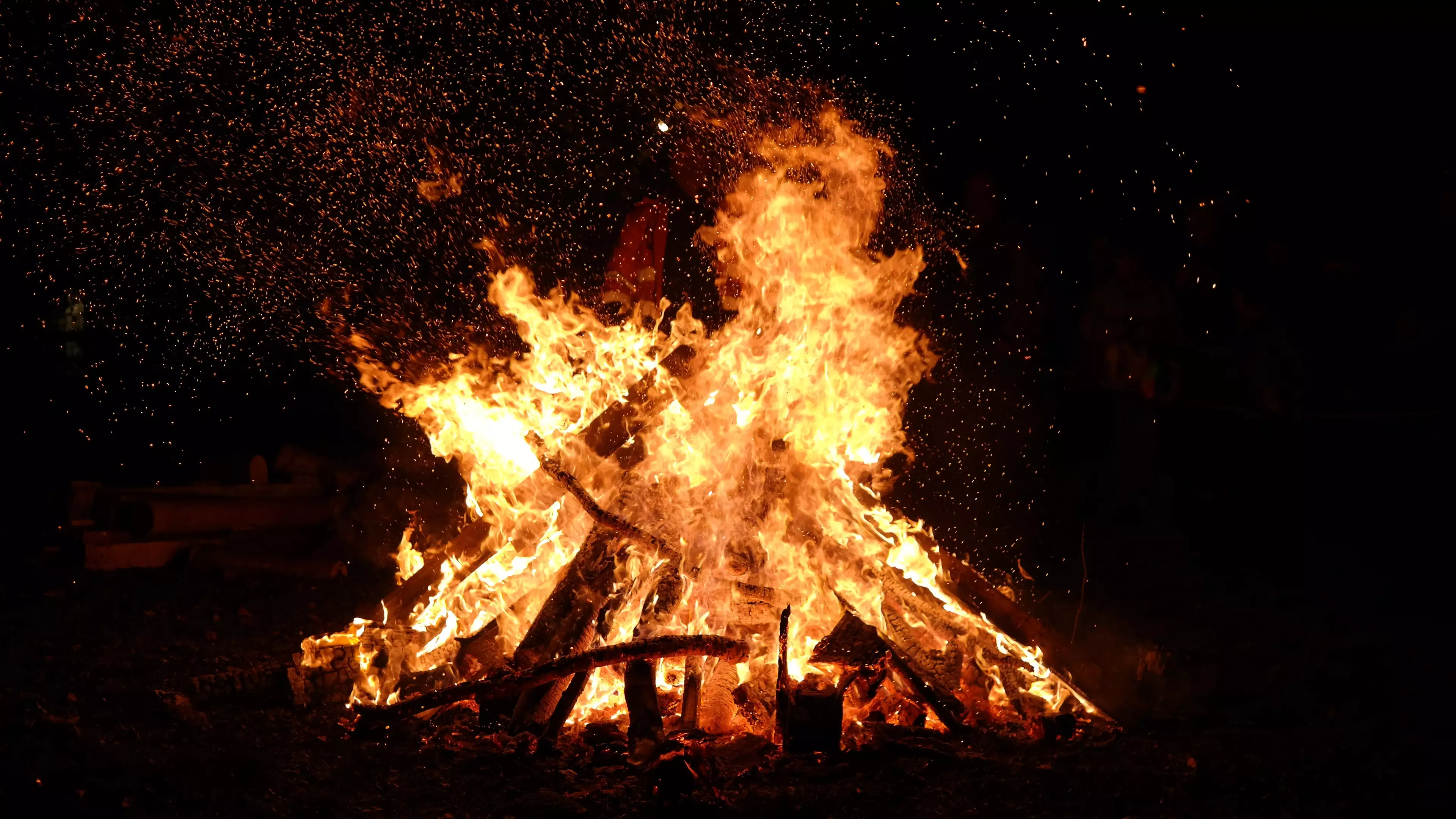 Bonfires can also kill wildlife and destroy creatures' homes.