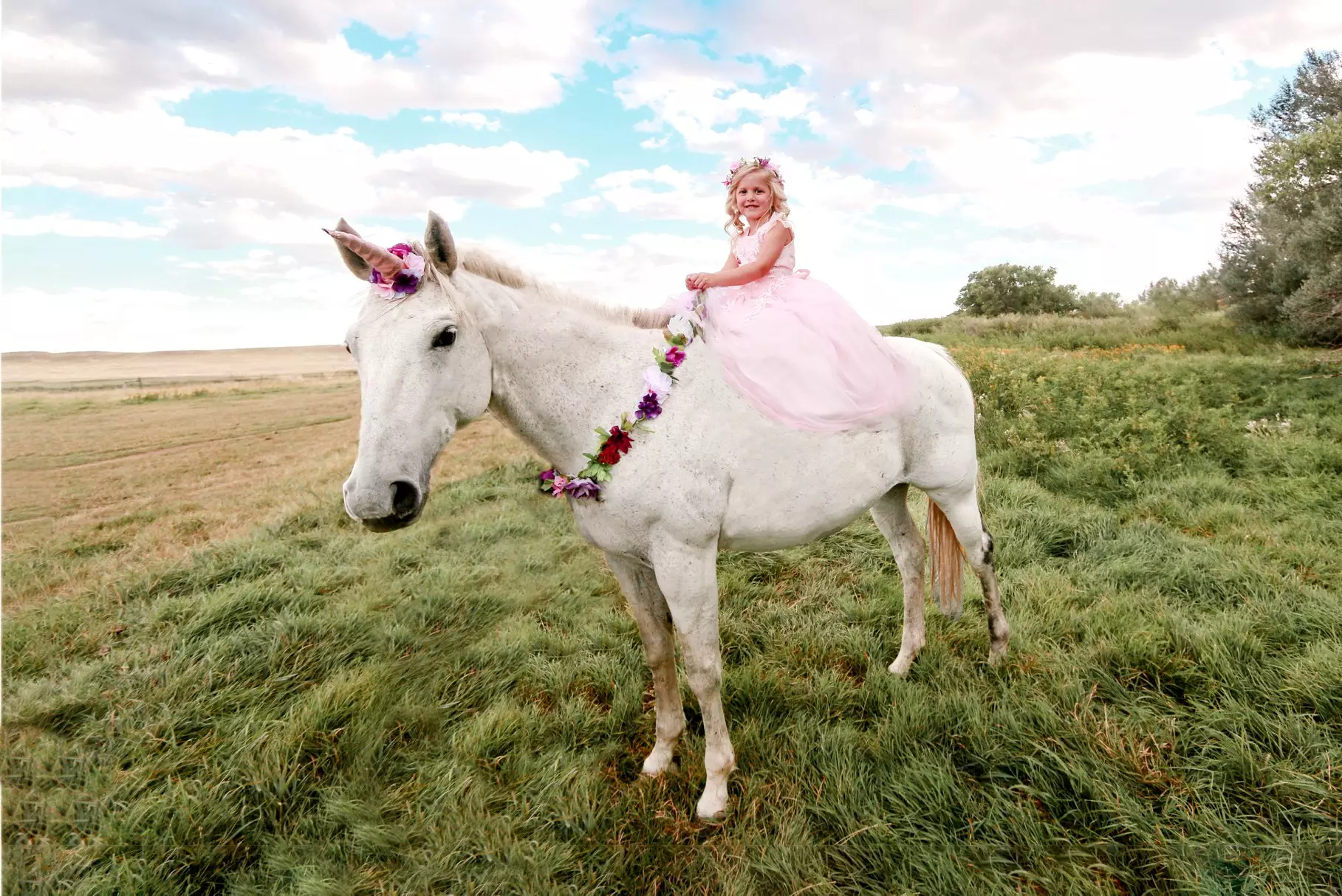 Elijah's sister Emilee had her own unicorn-themed shoot for her birthday.