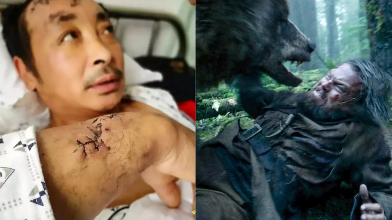 Villager Hospitalised After 'Revenant'-Style Bear Attack