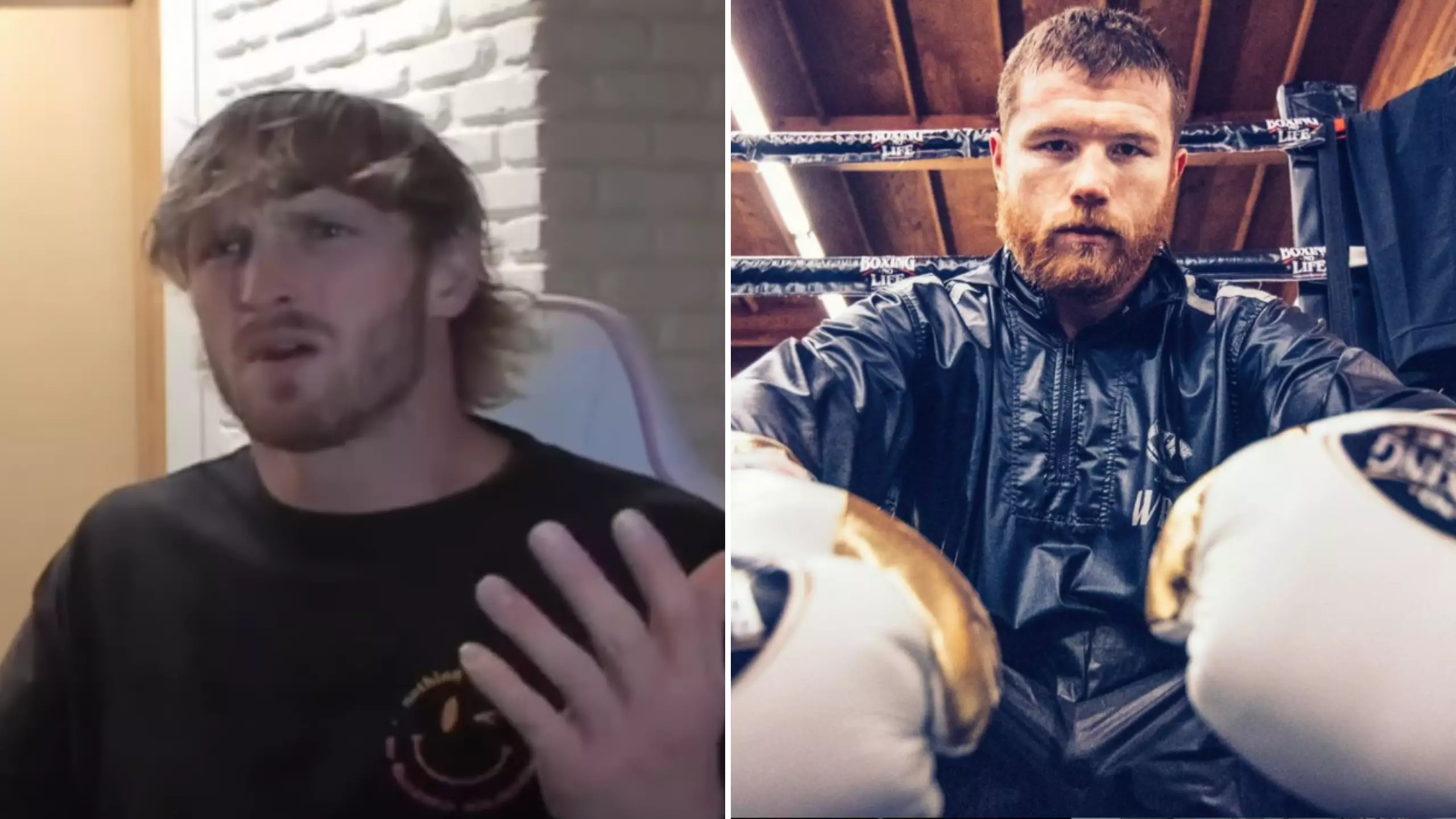 Logan Paul Claims Canelo Alvarez 'Spit On The Ethics Of Boxing' In Explosive Rant