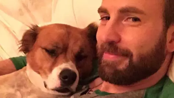 Chris Evans Tries Cutting Dog's Hair In Lockdown And It Goes Badly Wrong