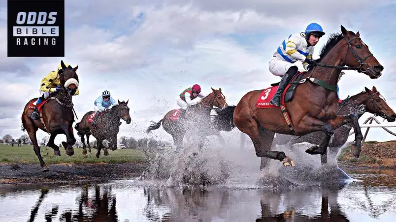 ODDSbibleRacing's Best Bets For Friday's Action From Aintree, Cork And More