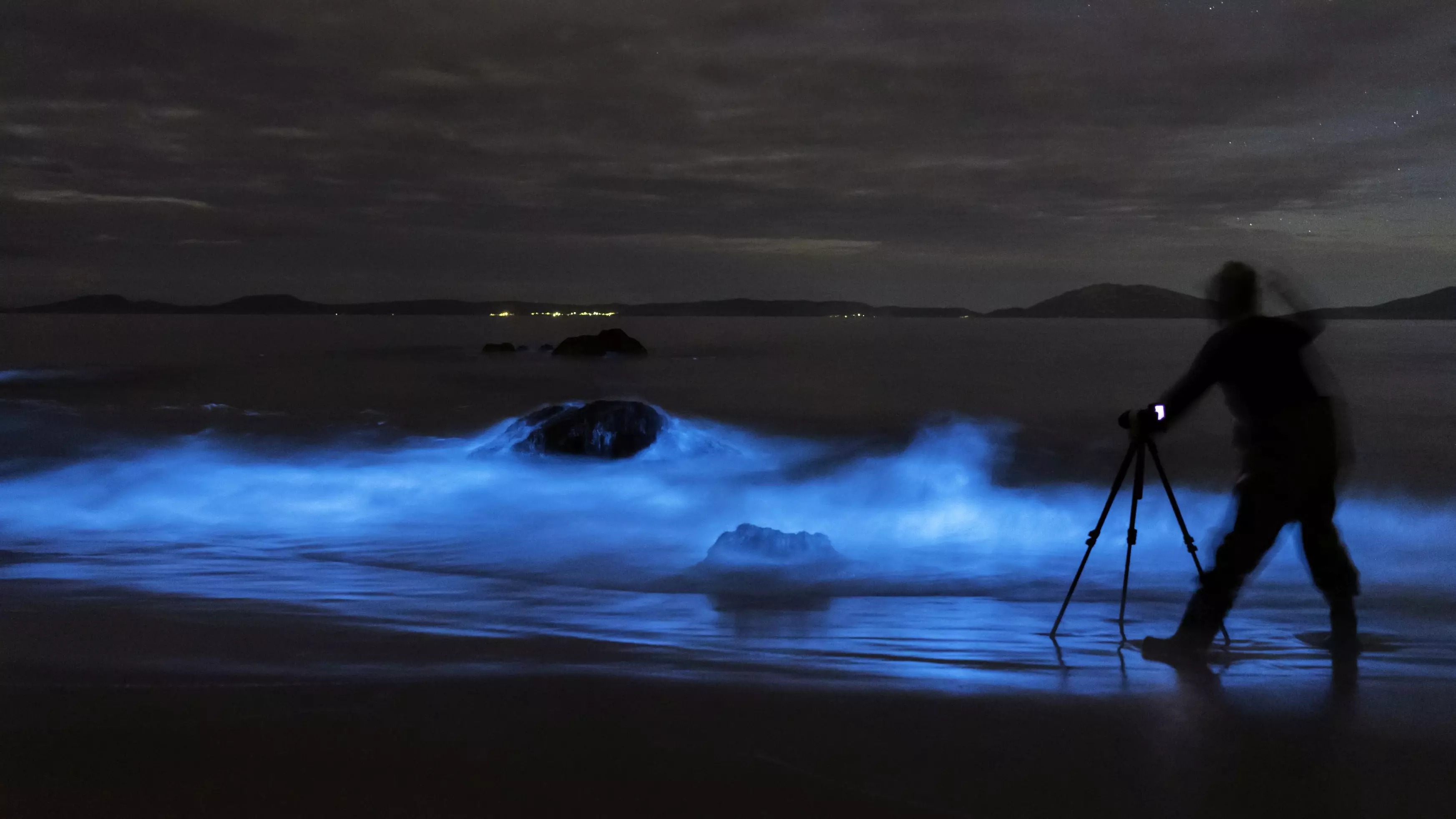 Timelapse Video Shows Electric Blue Waves Lighting Up Australian Beach