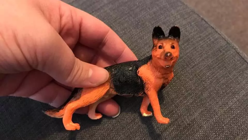 Mums Shocked To Discover That Their Kids' Toy Animals Have Penises
