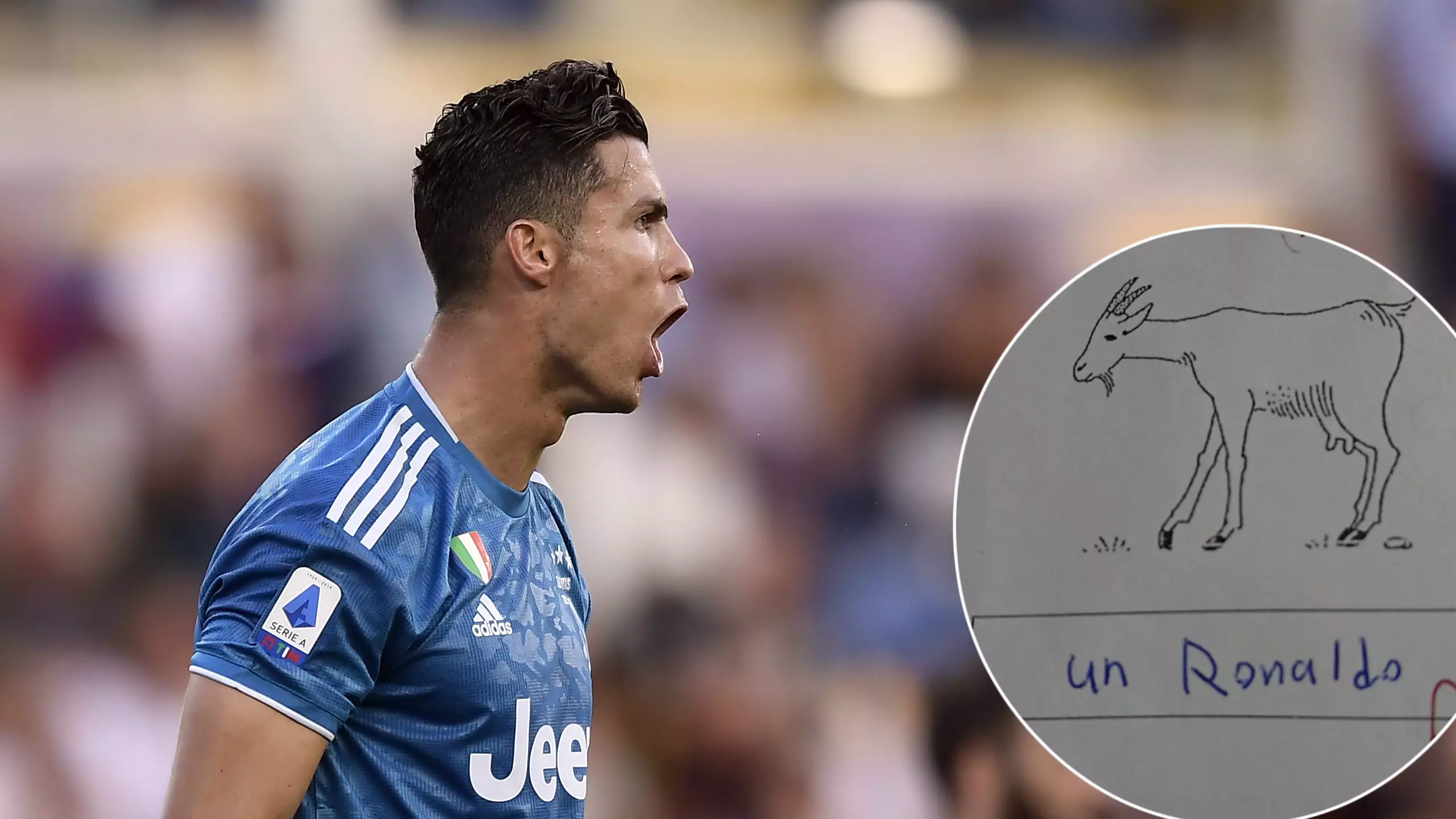 Student Translates 'The Goat' As Cristiano Ronaldo In French Exam