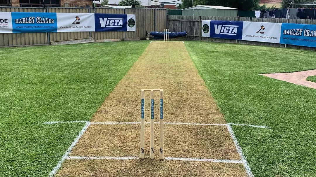 These Aussie Blokes Have Got The Best Backyard Cricket Set Up