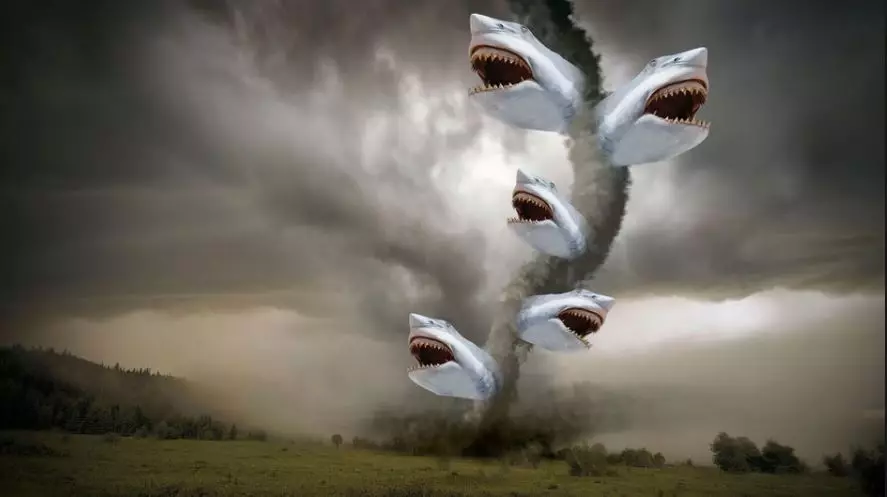 So THAT's what a Sharknado looks like.