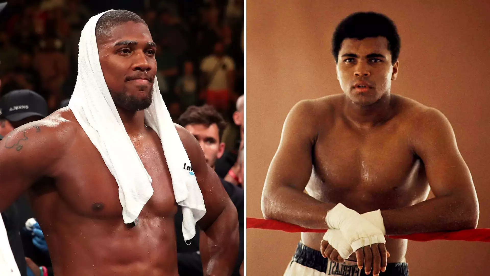 Boxing Forum Post Asked Who Would Win Out Of Anthony Joshua And Muhammad Ali