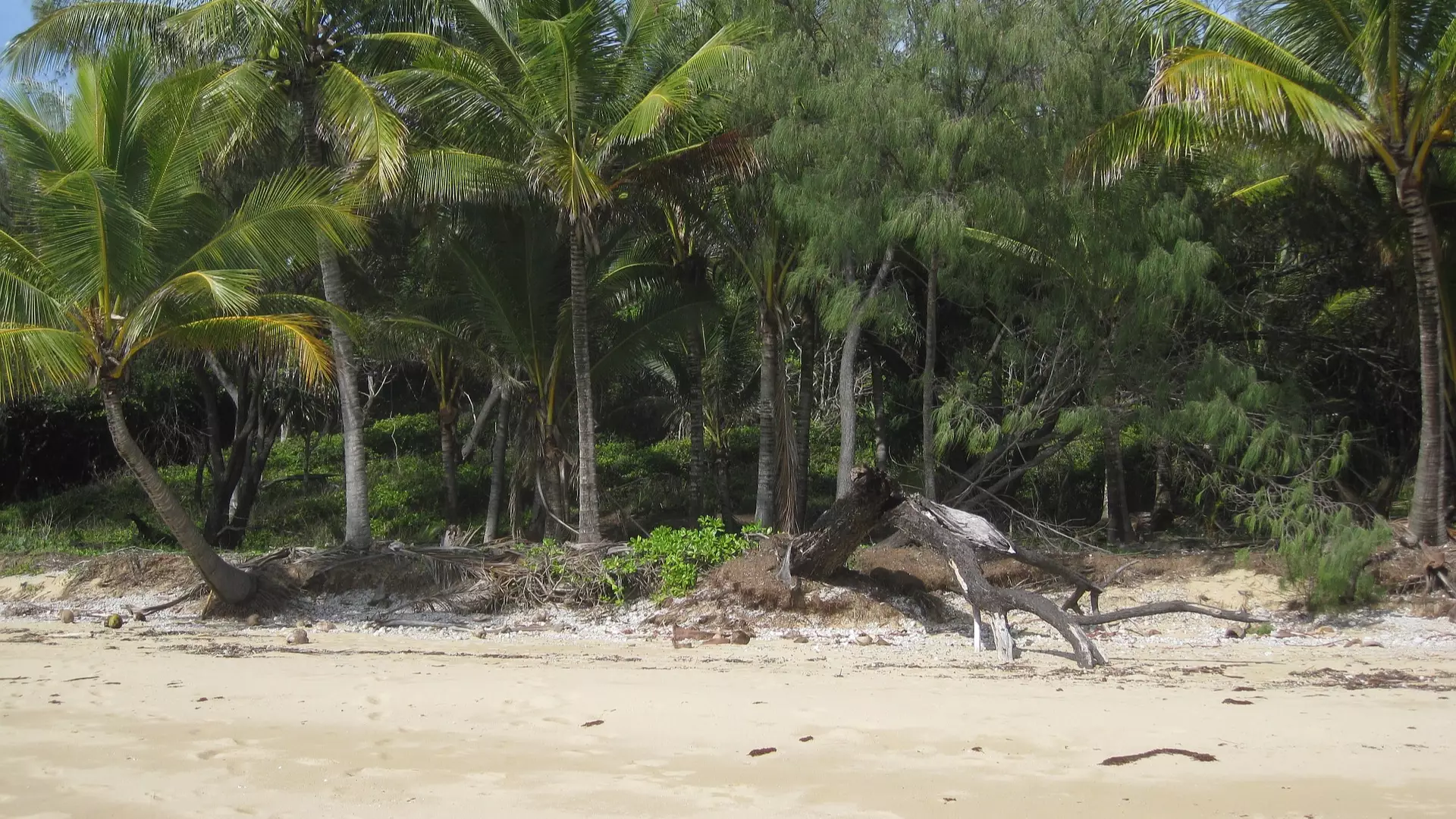 The Locals Of This Paradise Island Will Kill You If You Get Too Close