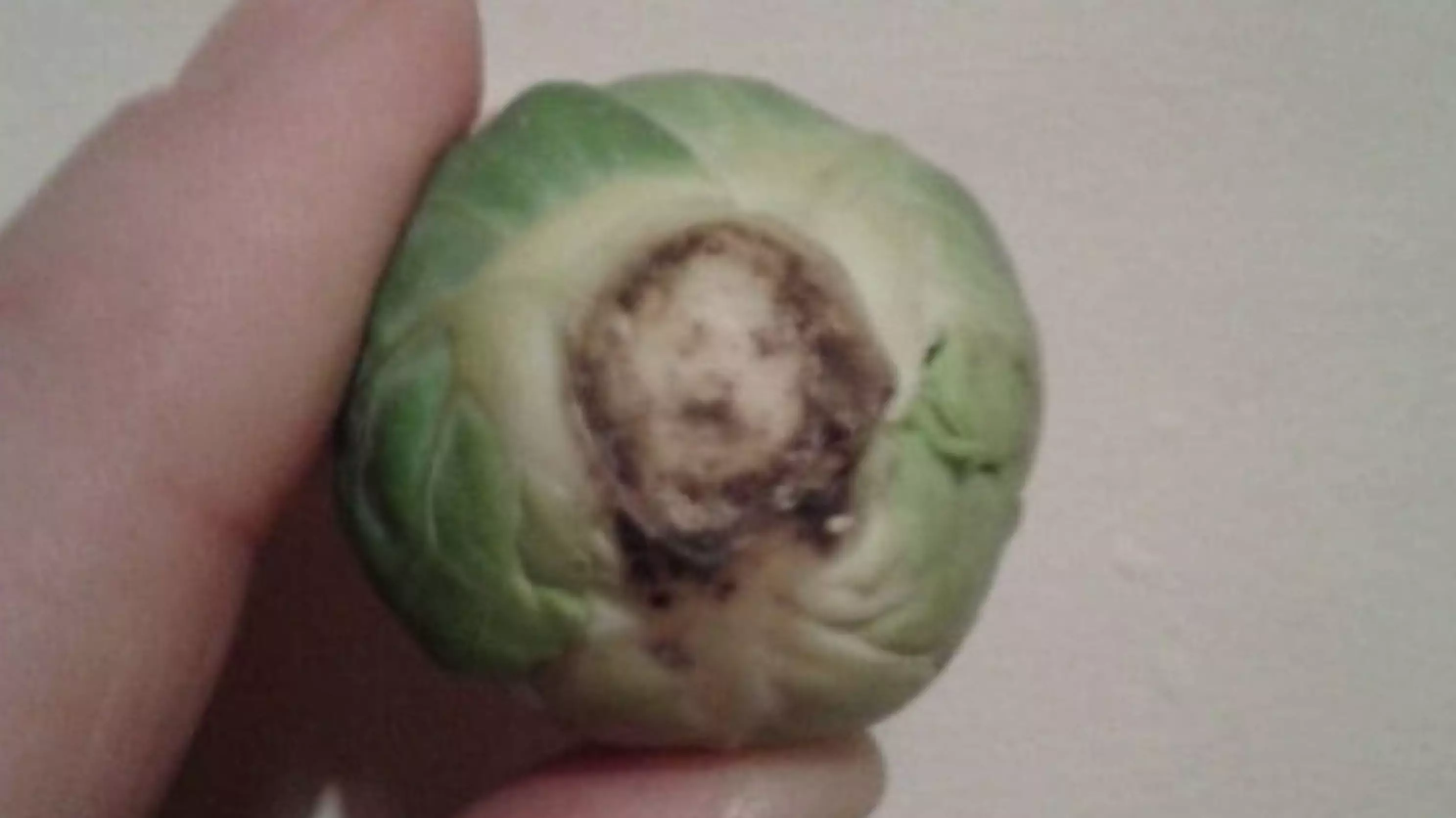 Woman Finds Jesus Christ's Face In Brussel Sprout