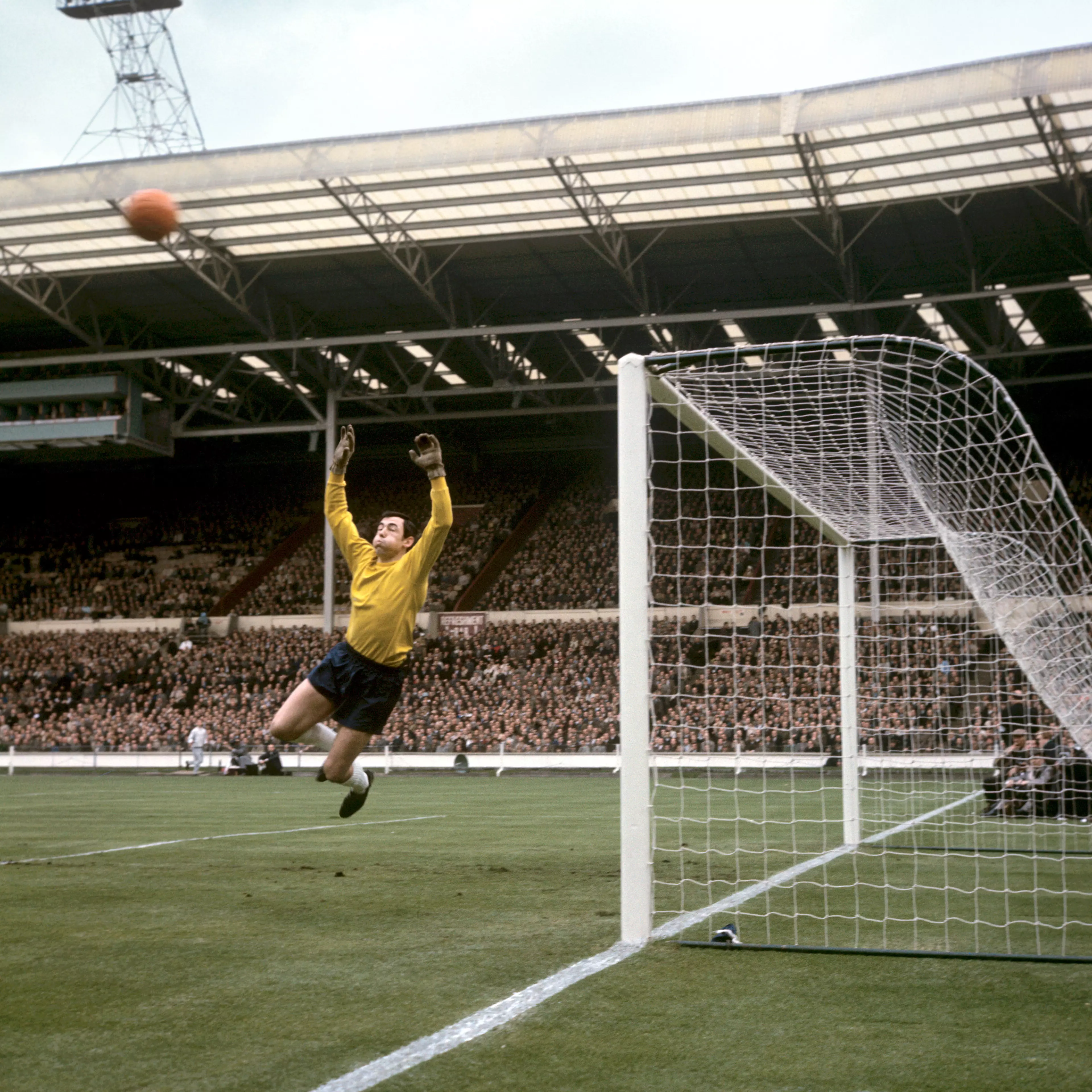 Gordon Banks is regarded as one of the finest goalkeepers to ever have played the game.