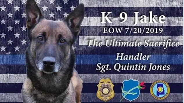 Police Dog Dies After Finding Synthetic Weed Laced With Rat Poison
