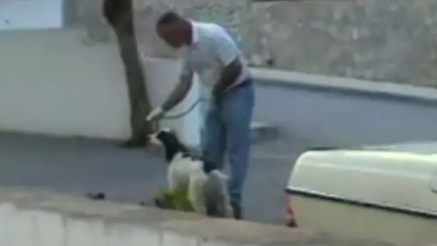 Footage Shows Sniffer Dogs 'Pick Up Scent Of Blood' In Madeleine McCann Holiday Apartment