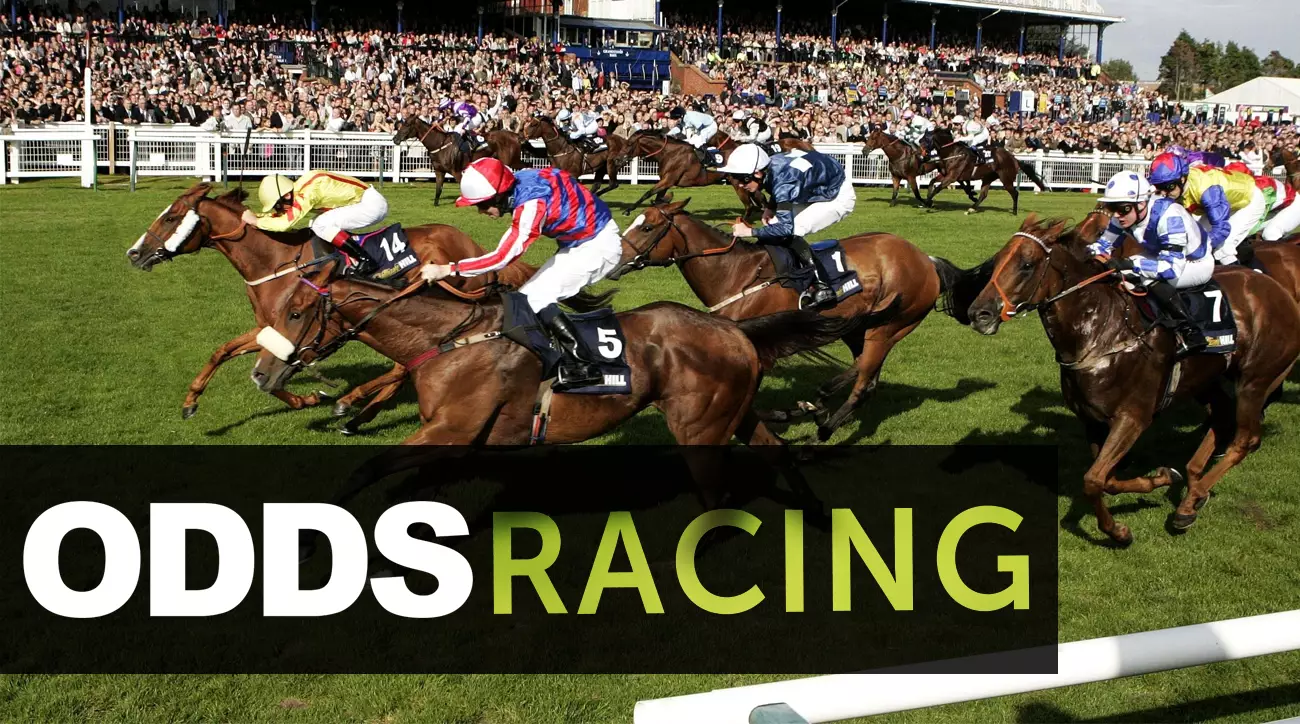 ODDSbibleRacing's Best Bets From Monday's Action At Ayr, Plumpton and Wolverhampton