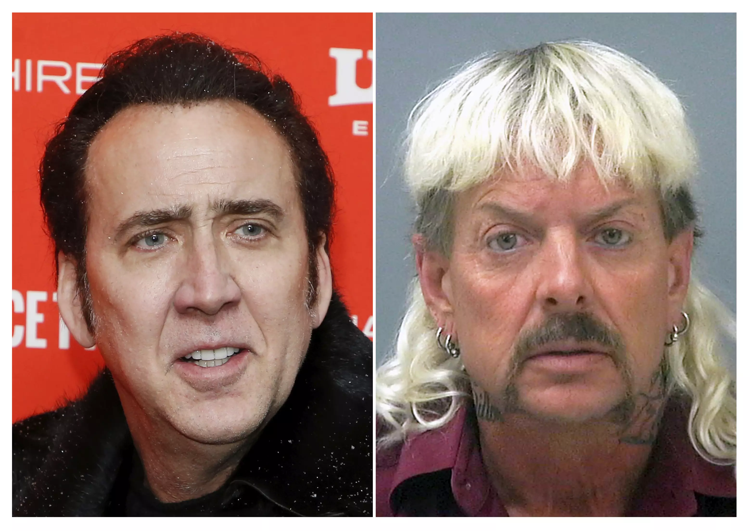 Nicolas Cage could be set to star as Joe Exotic.